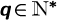 $q\in\mathbb{N}^{*}$