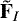 $\tilde{{\mathbf{F}}}_I$