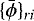 $\{\bar{\phi}\}_{ri}$