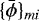 $\{\bar{\phi}\}_{mi}$