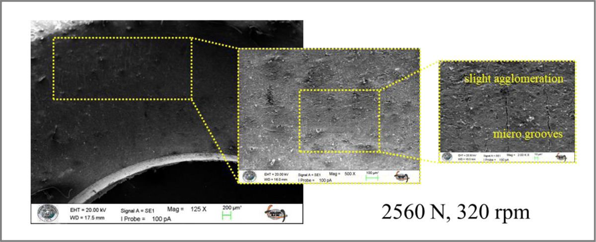 Fig. 15 Refer to the following caption and surrounding text.