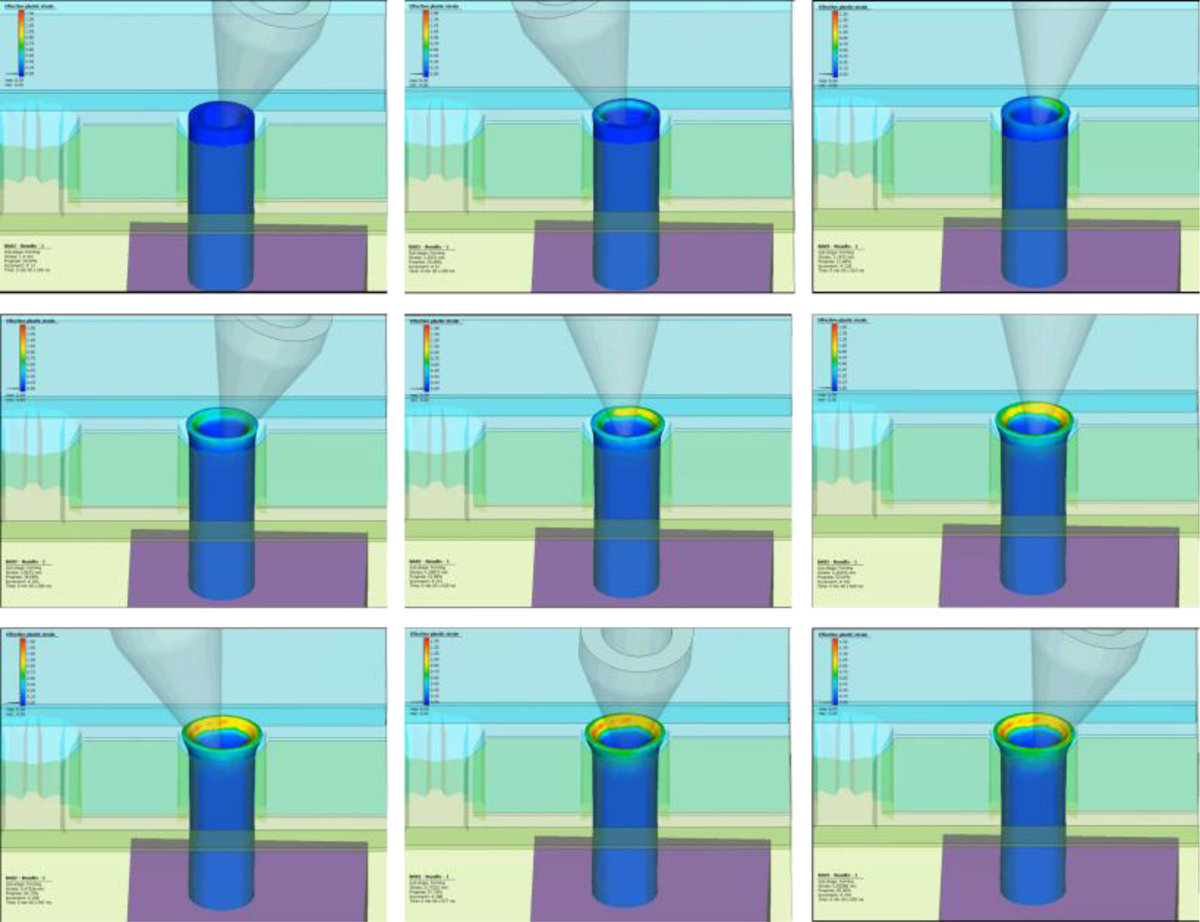 Fig. 5 Refer to the following caption and surrounding text.