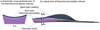 Thumbnail: Fig. 1 Refer to the following caption and surrounding text.