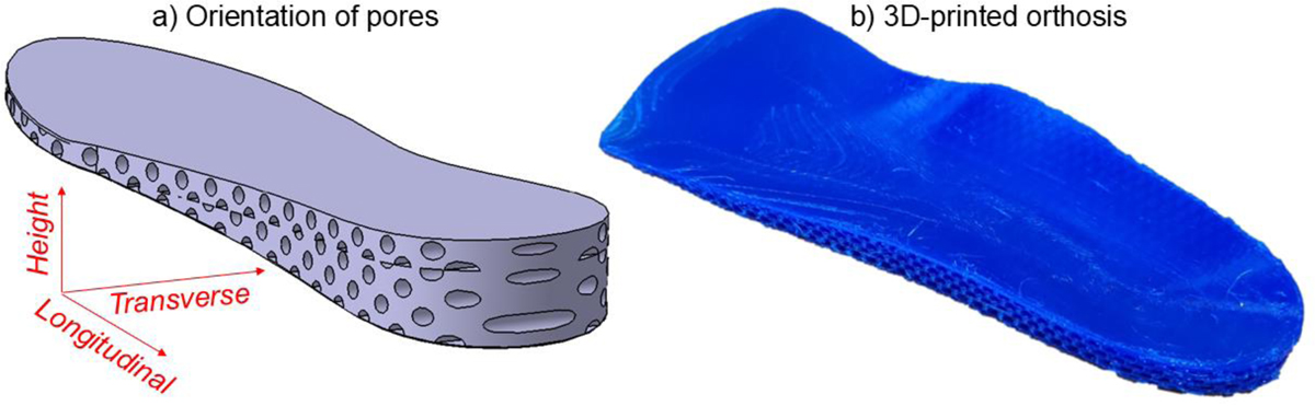 Fig. 5 Refer to the following caption and surrounding text.
