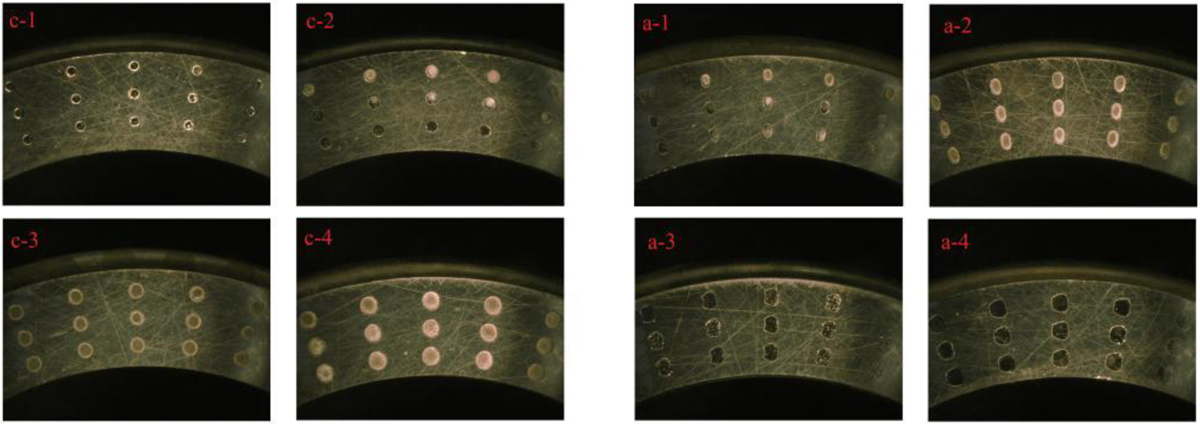 Fig. 5 Refer to the following caption and surrounding text.