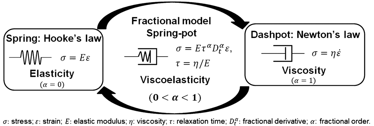 Fig. 1 Refer to the following caption and surrounding text.