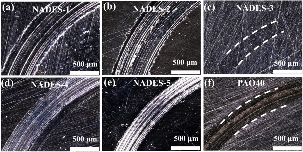 Fig. 4 Refer to the following caption and surrounding text.
