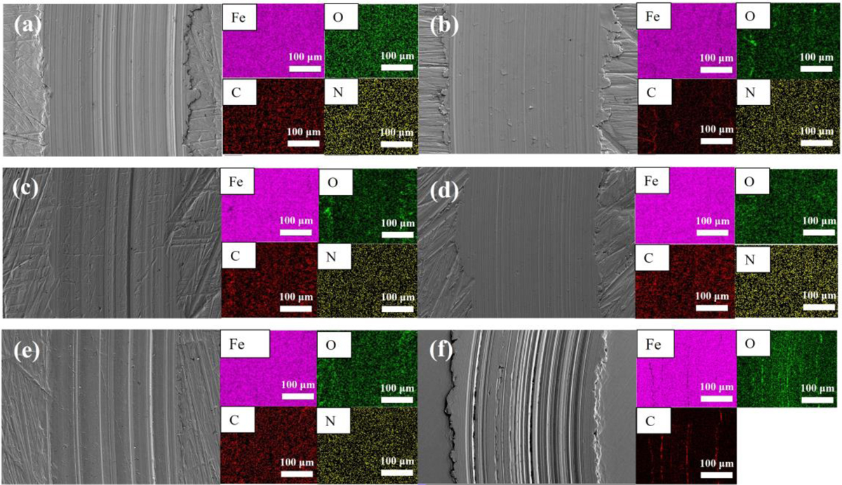 Fig. 9 Refer to the following caption and surrounding text.