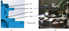 Thumbnail: Fig. 2 Refer to the following caption and surrounding text.