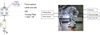 Thumbnail: Fig. 3 Refer to the following caption and surrounding text.