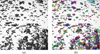 Thumbnail: Fig. 24 Refer to the following caption and surrounding text.