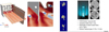 Thumbnail: Fig. 3 Refer to the following caption and surrounding text.