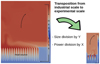 Thumbnail: Fig. 4 Refer to the following caption and surrounding text.